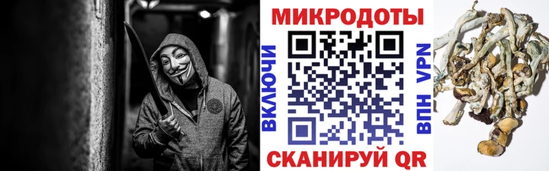 Псилоцибиновые грибы прущие грибы наркотики Южно-Сухокумск